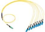 Molex Conjuntos de cables MMC
