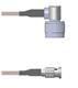 Amphenol Custom Cable Q-2C00V0005012i