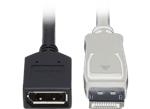 P579-006 4K DisplayPort Extension Cables