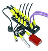 Conectores Brad de Molex
