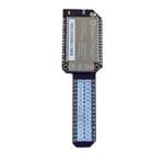 Onion OM-D-BB Imagen ampliada